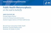 Public Health Metamorphosis - Rochester, NY€¦ · Public Health Metamorphosis: on the road to butterfly Bernard Guyer Lectureship in Public Health Rochester University Medical Center