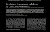 Regulation of alternative splicing by the core ... · constitutive splicing. Inthepresentstudy,weinvestigatedtheroleofthecore spliceosomal machinery in AS, focusing on a detailed