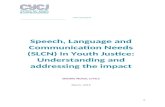 Speech, Language and Communication Needs (SLCN) in Youth ...€¦  · Web viewinformation, including regarding the systems and processes within which they find themselves. There
