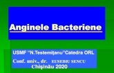 Anginele Bacteriene - USMF · flegmon periamigdalian -cea mai frecventă complicaţie, retrofaringian, laterofaringian şiabces intraamigdalian supuraţiicervicale, septicemie şişoc
