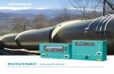 RISONIC modular - Rittmeyer€¦ · und ASME PTC 18. Anwendungen Lösungen für verschiedene Bedürfnisse Offene Kanäle Bewässerung Gefüllte Druckleitungen/Rohre Teilgefüllte