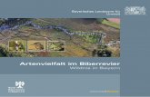 Artenvielfalt im Biberrevier - Wildnis in Bayern · Tier- und Pflanzenarten sind Erfolge im Natur- und Artenschutz selten. Die Heimkehr des Bibers in die bayerische Landschaft ist