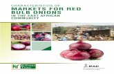 CHARACTERISTICS OF MARKETS FOR RED BULB ONIONS · Common Market of nearly 160 million consumers. This study contributes to the output on increasing understanding of regional markets.