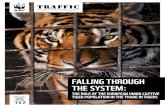 FALLING THROUGH THE SYSTEM...3.1 LEGAL TIGER TRADE INVOLVING THE EU 29 3.1.1 DIRECT EU TRADE 29 3.1.2 INDIRECT EU TRADE 34 3.1.3 DIRECT TRADE INVOLVING TARGET COUNTRIES 38 3.2 ILLEGAL