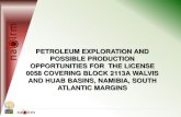 PETROLEUM EXPLORATION AND POSSIBLE ......PETROLEUM EXPLORATION AND POSSIBLE PRODUCTION OPPORTUNITIES FOR THE LICENSE 0058 COVERING BLOCK 2113A WALVIS AND HUAB BASINS, NAMIBIA, SOUTH