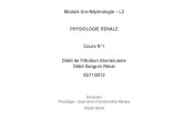 Module Uro-Néphrologie – L3 PHYSIOLOGIE RENALE Cours N 1 …coursl3bichat2012-2013.weebly.com/uploads/9/6/0/7/... · 2020. 2. 7. · Module Uro-Néphrologie – L3 PHYSIOLOGIE