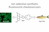 Ion selective synthetic fluorescent chemosensorschembiol.ttk.hu/ea/PMR5ea.pdf · •Cation sensing by chemosensors in vivo •Fluorescent signal is much more sensitive than coloring