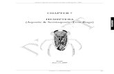 CHAPTER 7 HEMIPTERA H (Aquatic & Semiaquatic True Bugs ... · Guide to Aquatic Invertebrate Families of Mongolia | 2009 Chapter 7 | HEMIPTERA 88 HEMIPTERA ORDER HEMIPTERA Aquatic