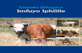 Izeluleko Zokugcina - Mdukatshani health manual zulu.pdf · – Amathumba ... Isigaba esilandelayo sizokusiza uqonde ukuthi yini egulisa imfuyo, siphinde sikuchathazele ngolwazi lokuthi