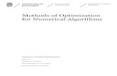 Methods of Optimization for Numerical Algorithms · 2018. 2. 15. · numerical algorithms require, depending on some tuning variables. To do this we will analyse di erent methods