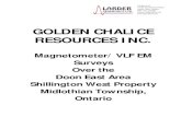 GOLDEN CHALICE RESOURCES INC · GOLDEN CHALICE RESOURCES INC. TFM and VLF EM Surveys Doon East December 2008 7 3. OVERVIEW OF SURVEY RESULTS 3.1 SUMMARY INTERPRETATION Over the northern