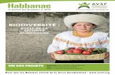 Habbanae - AVSFdes semences locales ont été mises en place. Le succès des marchés paysans ( 150 vendeurs de 27 communautés, 4 000 visiteurs) a permis de renforcer les communautés