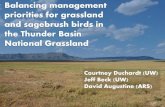 Balancing management priorities for grassland and ...wildlife.org/wp-content/uploads/2016/12/3_WYTWS_2016_Duchardt.pdfDec 03, 2016  · Jeff Beck (UW) David Augustine (ARS) Brennan