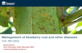 Management of blueberry rust and other diseases...HIA: BB13002 . Overview • HIA BB13002: Management of blueberry rust - Update • Botryosphaeria stem blight - Cause - Factors contributing