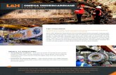 OMEGA UNDERCARRIAGE - lnh.net · OMEGA UNDERCARRIAGE CASE STUDY Advanced materials, forged components, and cutting-edge design innovations extend the Omega undercarriage lifespan