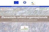 Elementele culturii organizaţionaleprofit.spiruharet.ro/.../2019/...organizationale.pdf · Proiect co-finanțat din Fondul Social European prin Programul Operațional Capital Uman
