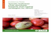 Tuta absoluta): Impacts and coping strategies for Africa · Strategic importance of tomato Tomato is the most consumed fruit in Africa, both in its raw and processed forms, and its
