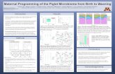 Maternal Programming of the Piglet Microbiome from Birth ...€¦ · Maternal Programming of the Piglet Microbiome from Birth to Weaning Kayla Law1, Brigit Lozinski1, Ivanellis Torres1,