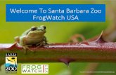 Welcome To Santa Barbara Zoo FrogWatch USA · 2020. 6. 2. · Frog Watch at the SB Zoo • Santa Barbara Zoo chapter began in 2012 Host annual trainings at the beginning of breeding