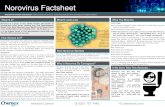 Printing: Norovirus Factsheet - Chemex International Norovirus is mainly transmitted via the faeco-oral