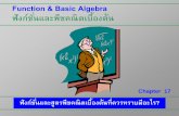 Function & Basic Algebra ฟังกช์นั่และพีชคณิตเบื้องต้นex-mba-ku.or.th/wp-content/.../12/...basic_Algebra.pdf · กำรแก