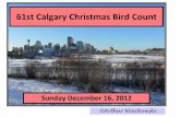 Calgary Christmas Bird Count · Weather •Mostly cloudy becoming mostly sunny •Temperature Range: -3 to zero deg C (*) •Wind: Westerly, averaging 27 km/h, gusting to 49 km/h