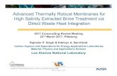 Advanced Thermally Robust Membranes for High Salinity … · 2017. 3. 23. · 6F‐PBI Membrane 7 µm film Feed pressure = 250 psi Water flux decreased after membrane exposure to