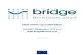 TSO-DSO Coordination - Bridge€¦ · TSO-DSO Coordination – December 2019 9 Executive Summary BRIDGE report on TSO-DSO Coordination attempts to map the interactions between the