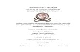 UNIVERSIDAD DE EL SALVADOR FACULTAD DE CIENCIAS …ri.ues.edu.sv/id/eprint/11569/1/F634gu.pdf · de amparo a la Ley de Servicios Internacionales, consideraciones legales sobre aplicaciones