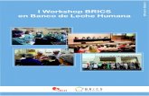 Ficha Técnica - Rede BLH | rBLH Brasil · una de sus experiencias más exitosas de cooperación horizontal: la acción Banco de Leche Humana. Así, en el marco de los 120 años de