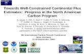 Towards Well-Constrained Continental Flux Estimates ...nacp.ornl.gov/mast-dc/docs/davis_icdc8_nacp.pdfTowards Well-Constrained Continental Flux Estimates: Progress in the North American