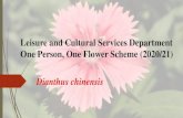 Leisure and Cultural Services Department One Person, One ...€¦ · Leisure and Cultural Services Department One Person, One Flower Scheme (2020/21) Dianthus chinensis. Dianthus