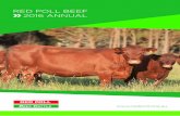 RED POLL BEEF 2016 ANNUALredpoll.frogthumbs.net/wp/wp-content/uploads/2018/... · BREEDPLAN technology for beef cattle selection, its Dairy Express herd recording service, the ILRIC