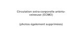 Circulation extra-corporelle artério- veineuse (ECMO) (photos ......Circulation extra-corporelle artério-veineuse (ECMO) (photos également supprimées) • Le défibrillateur ne