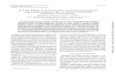Vitro Killing Actinobacillus Capnocytophaga Human ...INFECTION ANDIMMUNITY, Sept. 1991, p. 3015-3020 Vol. 59, No. 9 0019-9567/91/093015-06$02.00/0 Copyright © 1991, American Society