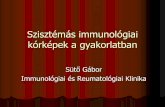 Szisztémás immunológiai kórképek a gyakorlatbanaok.pte.hu/docs/csaladorv/file/Autoimmun_betegek_ellatasa.pdf · Ízületi érintettség gyulladásos bélbetegségben: Axiális