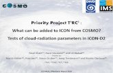 Priority Project T2RC2 What can be added to ICON from ......!ice cloud: assumed box distribution, width 0.1 qisat, saturation above qv (qv is microphysical threshold for ice as seen