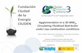 Fundación Ciudad de la Energía (CIUDEN) presentations/wk… · CIUDEN Ponferrada, 9 th – 13th September 2013 Fundación Ciudad de la Energía CIUDEN Ponferrada 9th to 13th September