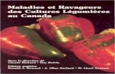 Maladies et Ravageurs des Cultures Legumieres au Canada · Gangrène 33 Virus de la pomme de terre 33 Nématode cécidogène du Columbia (nématode à galles du Columbia) 33 Nématode