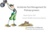Vertebrate Pest Management for Pitahaya growersVertebrate Pest Management for Pitahaya growers Niamh Quinn, PhD Human-Wildlife Interactions Advisor