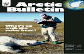 Arctic Bulletin - Pandaassets.panda.org/downloads/ab0306.pdf · Impact Assessment, produced two years ago by the Arctic Council, have fallen silent as one research report after another