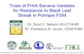 Trials of FHIA Banana Varieties for Resistance to Black Leaf ......Hawaii Banana Industry Association Annual Conference, Kalaeloa, Hawaii, Aug. 24, 2007 This presentation is a preliminary