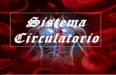 Sistema circulatorio · sistema circulatorio, funciones y partes que lo componen Lado derecho: La aurícula derecha recibe sangre desde el cuerpo con dióxido de carbono y desechos