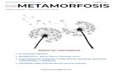 METAMORFOSIS - WordPress.com · 2018. 6. 12. · 3. ¿Existen argumentos bioquímicos o genéticos relacionados con la fobia social? Todavía no está muy claro qué factores intervienen