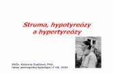 Struma, hypotyreózy a hypertyreózy - uniba.sk · 2020. 4. 1. · Struma • akékoľvek zväčšenie ŠŽ (anatomická zmena ŠŽ) bez ohľadu na funkciu tyreoidey • označenie