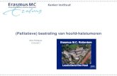 Erasmus M.C. Rotterdam · 2017. 6. 28. · RA: bdz tumor a vue, ondoorgankelijk Cavum oris: tumoreuze massa doorgroeiend door palatum durum met centraal ulcer, 3cm Hals: multipele