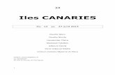 New Iles CANARIES - LPO · 2018. 12. 26. · 8 -Zone de Los Cristianos/Punta de la Rasca: 15 espèces observées.Très diffiile d’aéder à cette zone, complètement dominée par