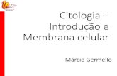 Márcio Germello · 2020. 6. 18. · Fisiologia de membrana Bomba de sódio e Potássio •Utilidade: •Necessidade de manter moléculas e íons em concentrações diferentes do