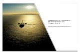 Relatório 4 - Estudos Preliminares de Engenharia · CELP Consultoria Técnico Comercial Ltda. Este relatório, desenvolvido tecnicamente pela consorciada Aeroservice Consultoria