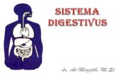 REGIO PADA DINDING ANTERIOR - UNIMAL Digestivus.pdf · 2017. 11. 4. · Gigi susu tanggal usia 6-13 tahun diganti gigi tetap ... Warna lebih merah Warna merah muda Dinding lebih tebal